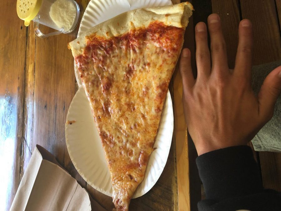 A slice of Benny de Lucas pizza in comparison with my hand. 