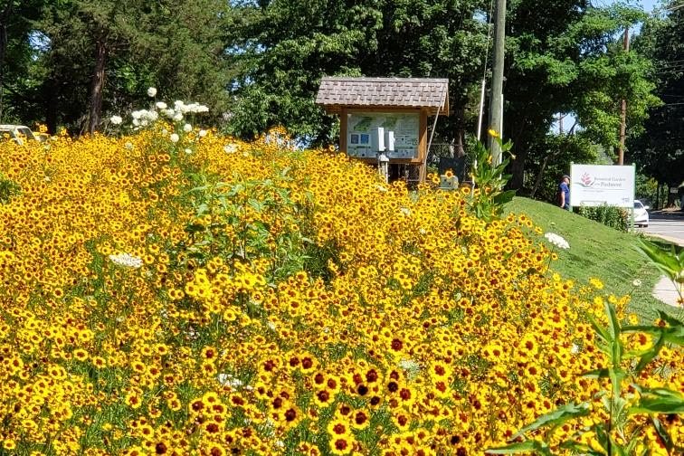 The Botanical Garden of the Piedmont in the spring.