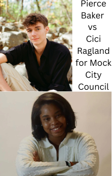 DE Government Mock Election for Charlottesville City Council