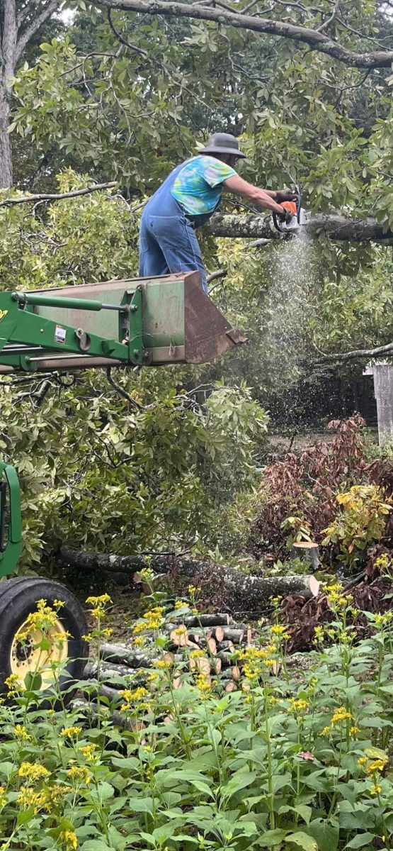 Mr. Spradlin cutting a tree in his backyard