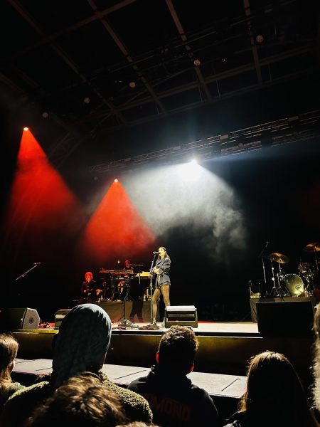 A photo from St. Vincent's concert.