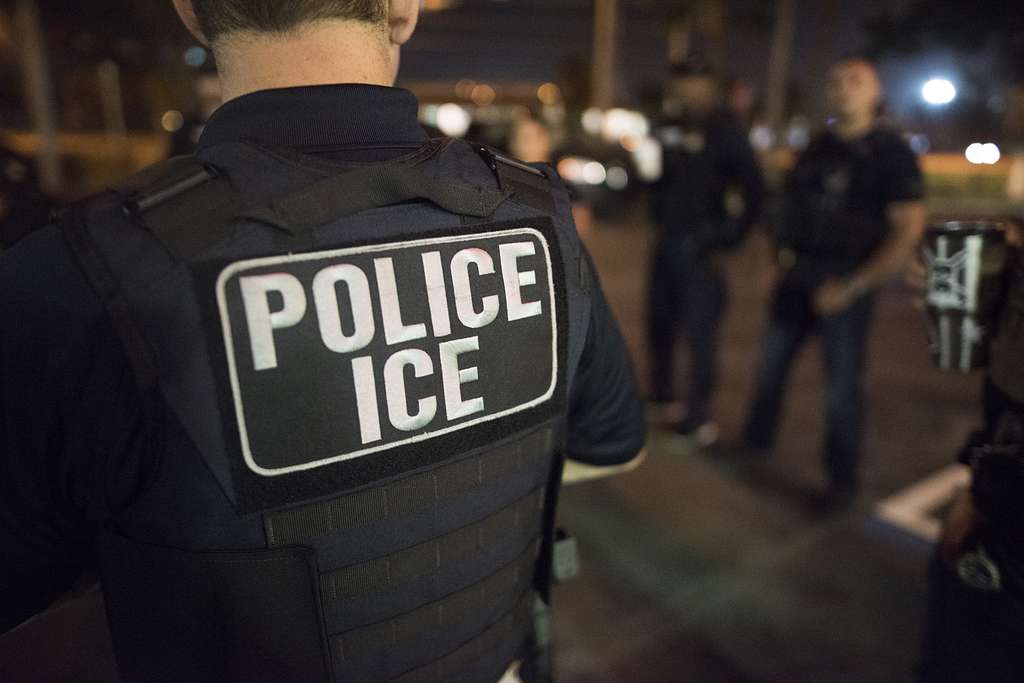 ICE (Immigration and Customs Enforcement)
Curtsy of NARA & DVIDS Public Domain Archive